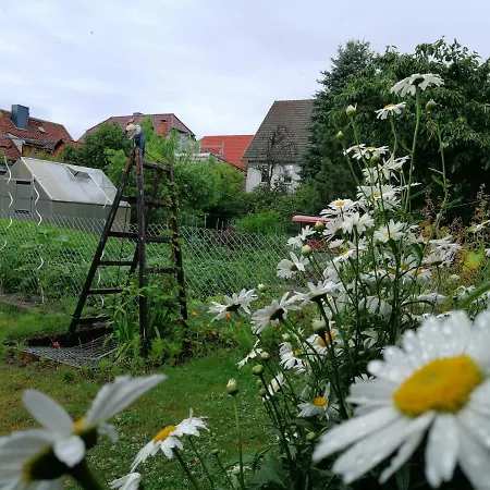 Apartment B1 - Barrierefreie In Wernigerode, Ideal Fuer Senioren Und Behinderte Menschen Wernigerode